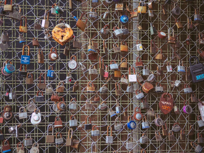 Secure backup setup with a visible lock icon on a computer screen.