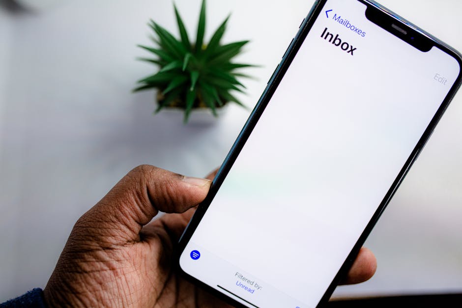Photographer reviewing an email on a laptop, focusing on suspicious links and domains