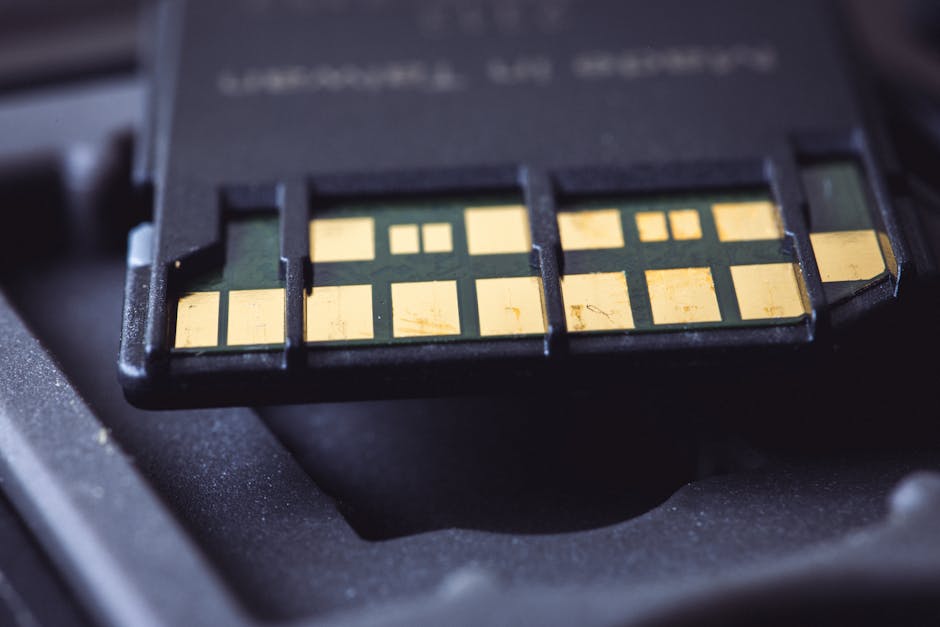 Photographer reviewing SD vs CFexpress vs XQD memory cards, comparing speed for high-resolution shoots in camera gear.